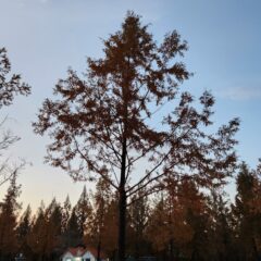 부산운전연수 솔직담백 후기 후기 이미지