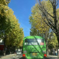 겁 많은 저도 성공했어요! 부산초보운전연수 추천 후기 이미지