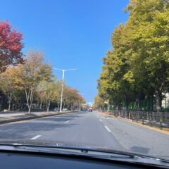 퇴근 후 저녁 연수로 배웠어요 - 부산운전연수 후기 이미지